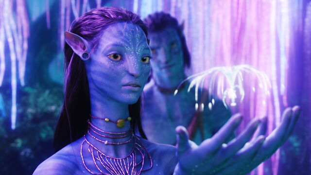 File:Neytiri & Jake.jpg