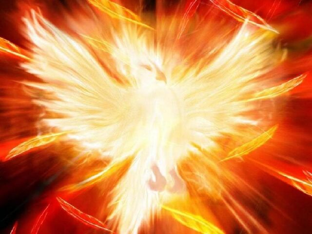 File:Featherphoenix.jpeg.jpg