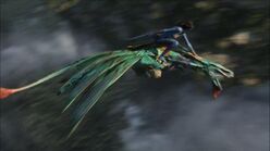 Neytiri on Seze