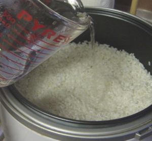 Cook rice