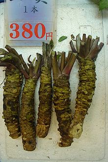 File:220px-Wasabi by EverJean in Nishiki-ichiba, Kyoto.jpg