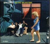 Inthemeantimespacehog