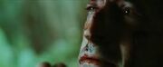Images7