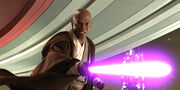 Windu Mace.jpg