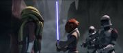 Jedi-Vassek.jpg