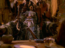 Logray Ewoks.jpg