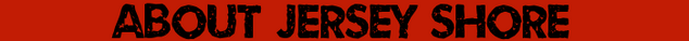 File:About.png