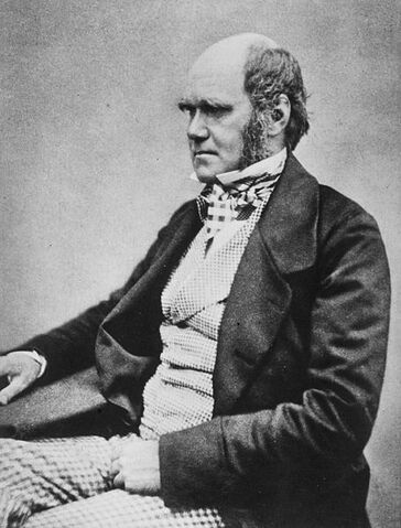 File:Charles Darwin.jpg