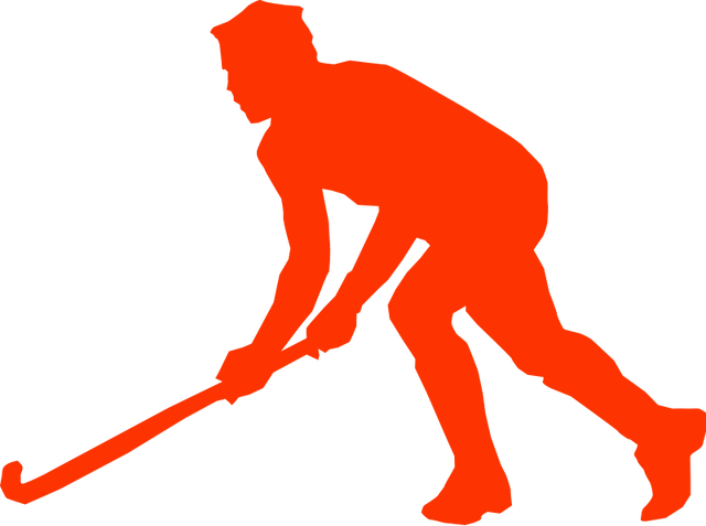 File:Grass hockey.png
