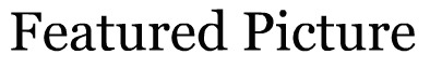 File:Featured Picture.jpg