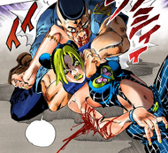 Viviannosuplex