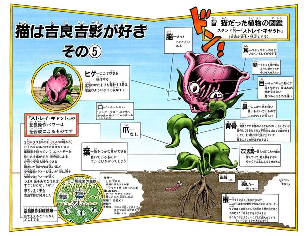 File:Chapter 396 Cover B.jpg