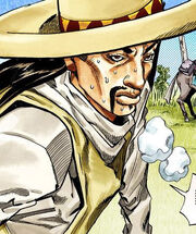 Gaucho