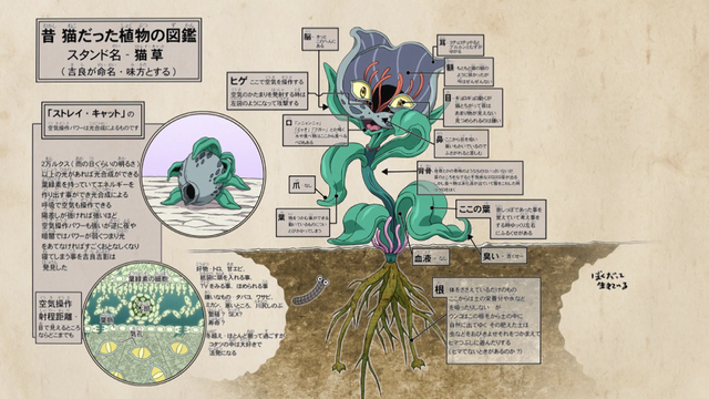 File:Stray Cat infograph.png