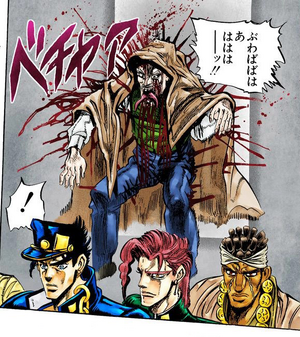 Grayfudido.png
