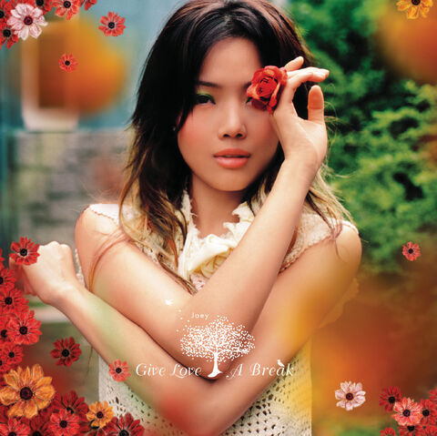 File:Joey GiveLoveABreak DVD Ed Front.jpg