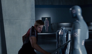 Cato-treinando.png