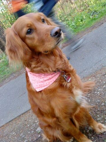 File:Molly.jpg
