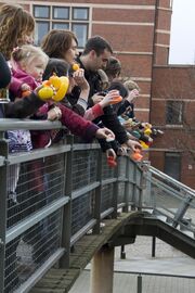 Ggf5duckrace