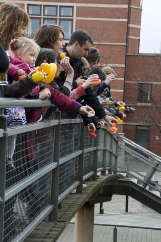 File:Ggf5duckrace.jpg