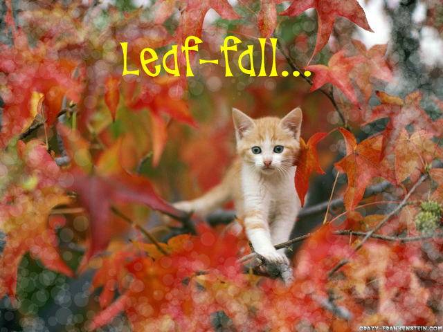 File:Leaf-fall.png
