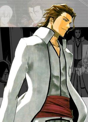 Aizen41