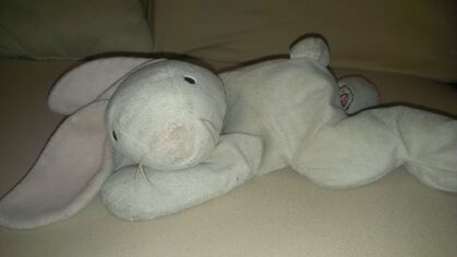 Sleepy Hop