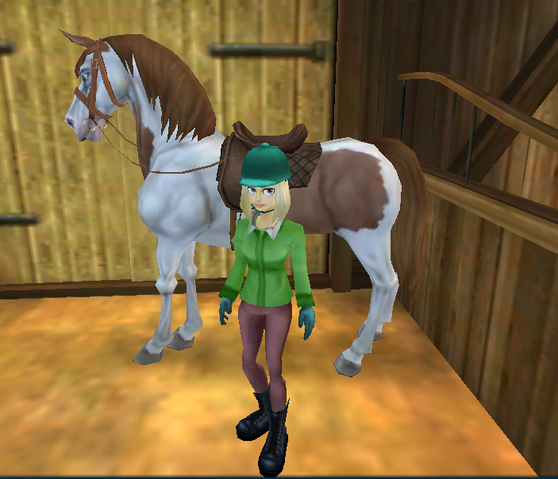 File:Screenshot (641).png