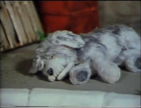 File:Fairportthedog 4.JPG