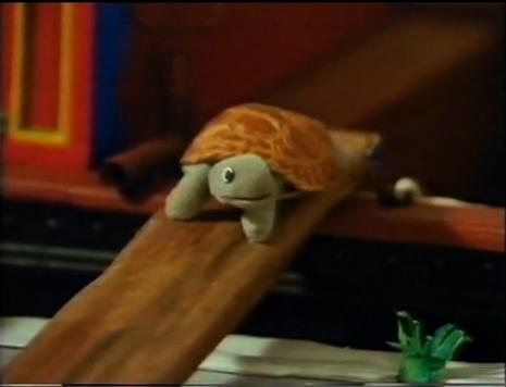 File:Trevorthetortoise.JPG