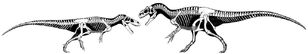 Saurophaganaxvstorvosau