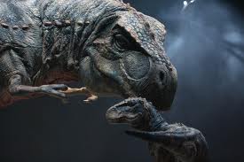 Jpivmombabyrex