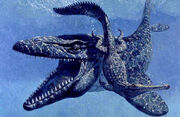 Mosasaurus protecting it's kin