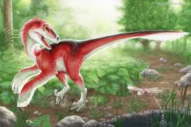 Utahraptor red