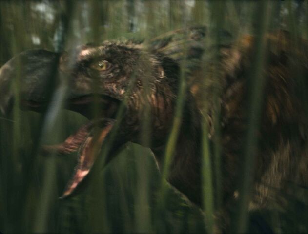 File:Terrorbird.jpg