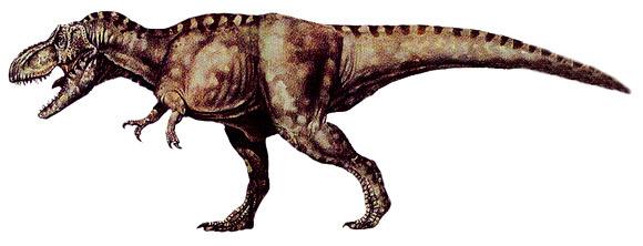 types of tyrannosaurus