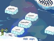 Am-AntarticIceBlocksGame