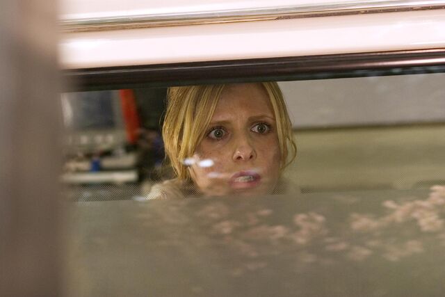 File:Still-of-sarah-michelle-gellar-in-the-grudge-(2004)-large-picture (1).jpg