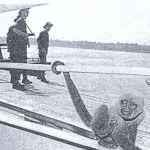 File:TEoDM ART.jpg