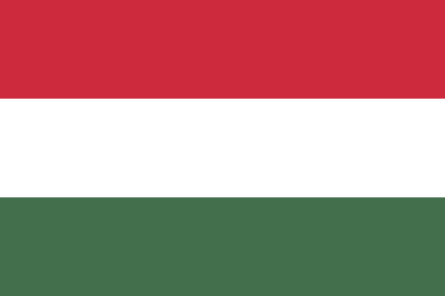 File:Flag of Hungary svg.png