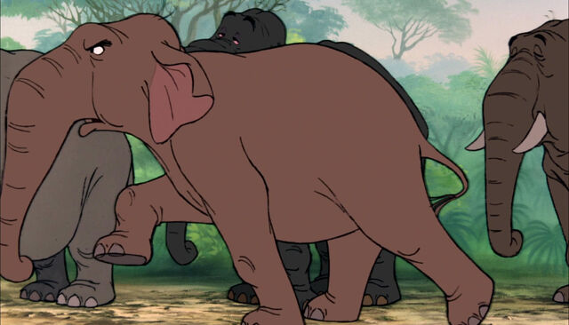 File:Winifred (Disney).jpg