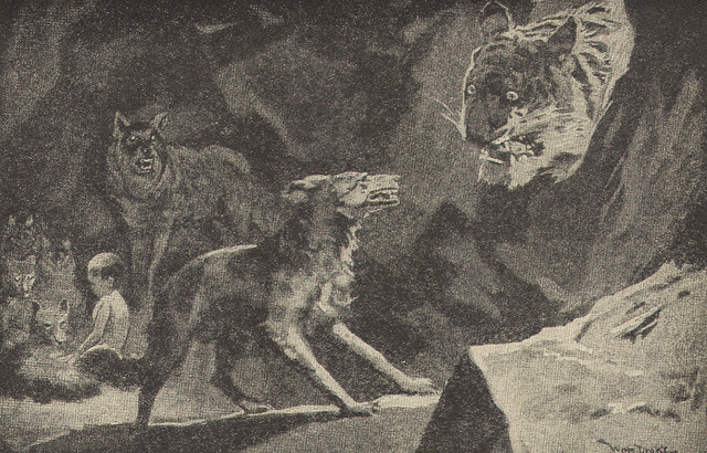 File:Raksha protecting Mowgli.gif