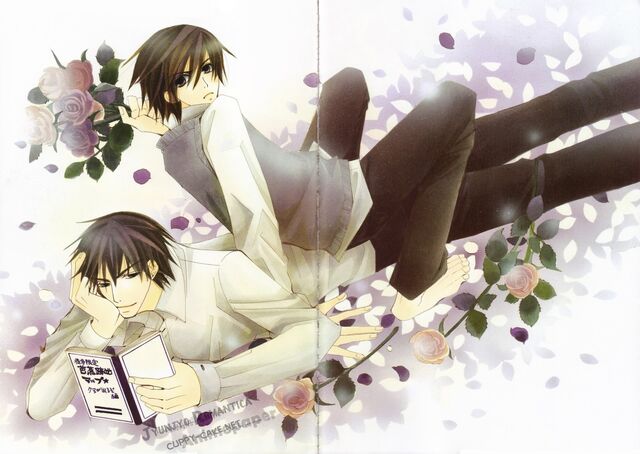 File:Junjou.Romantica.full.630512.jpg