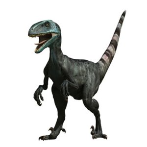 deinonychus teeth