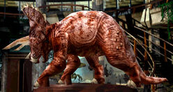 Triceratops dre-582