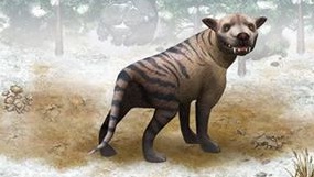 Hyaenodon.jpg