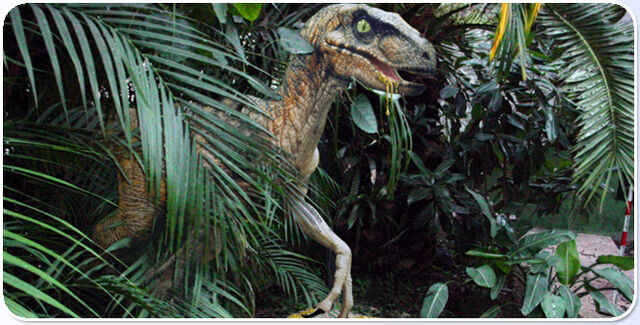 File:Raptor10.jpg