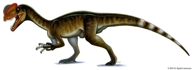 File:Dilophosaurus by kyoht-d3diw65.jpg