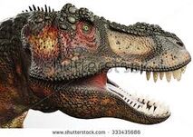 Trexhead