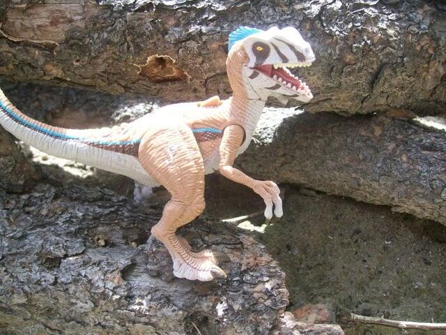 File:Raptor2009toy.jpg